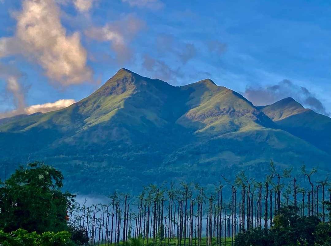 Jungle Valley Ayurvedic Spa Resort Meppādi Eksteriør billede