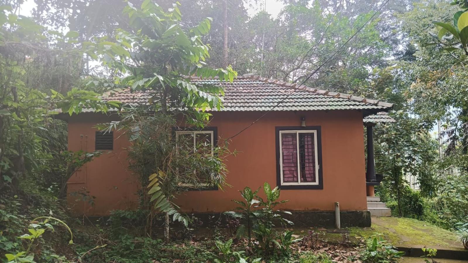 Jungle Valley Ayurvedic Spa Resort Meppādi Eksteriør billede