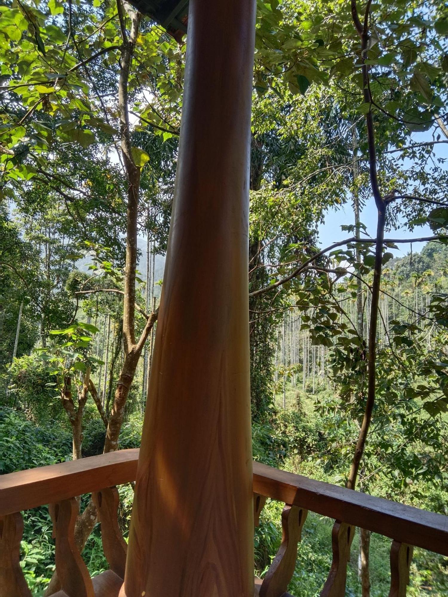 Jungle Valley Ayurvedic Spa Resort Meppādi Eksteriør billede
