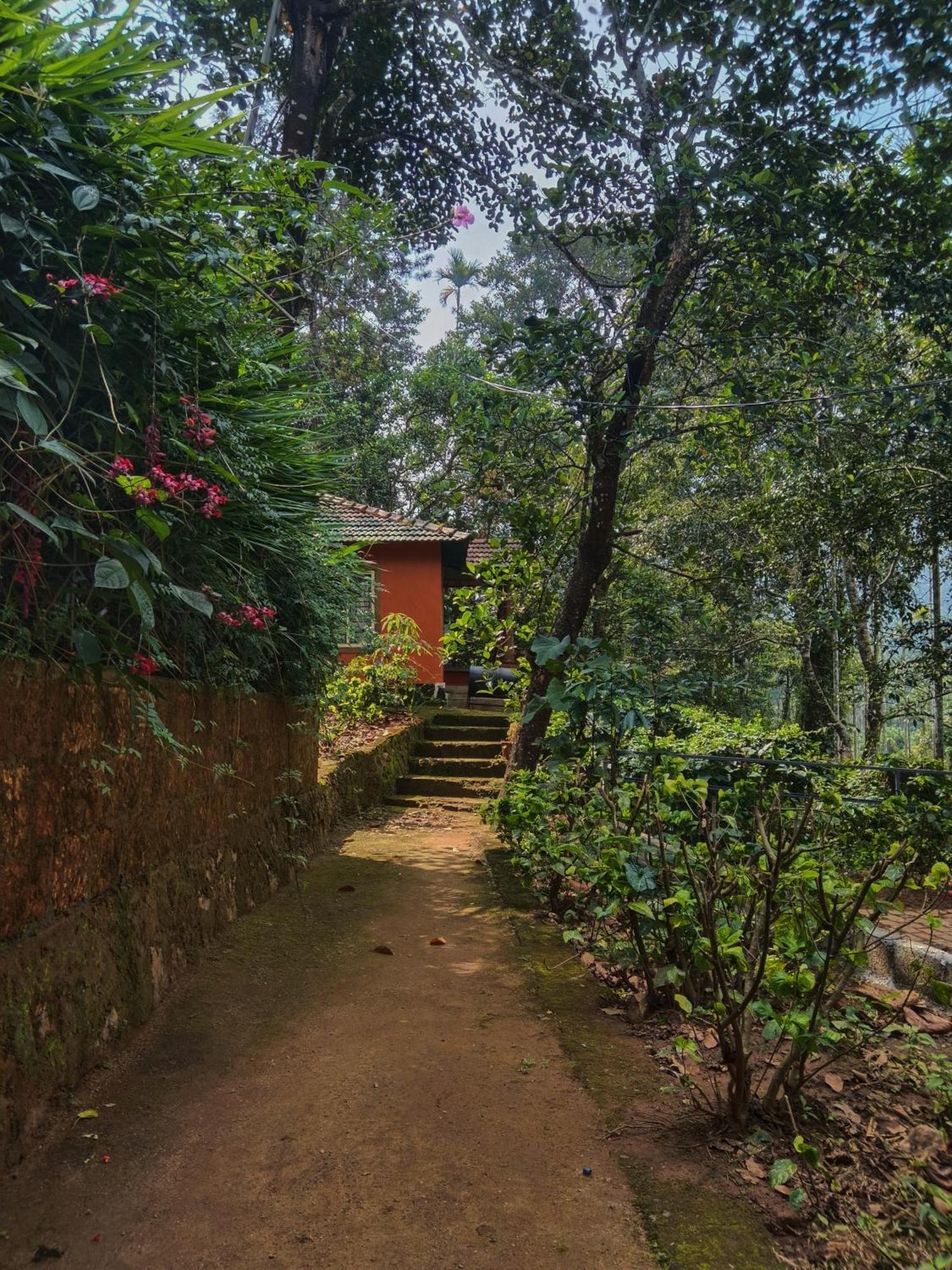 Jungle Valley Ayurvedic Spa Resort Meppādi Eksteriør billede