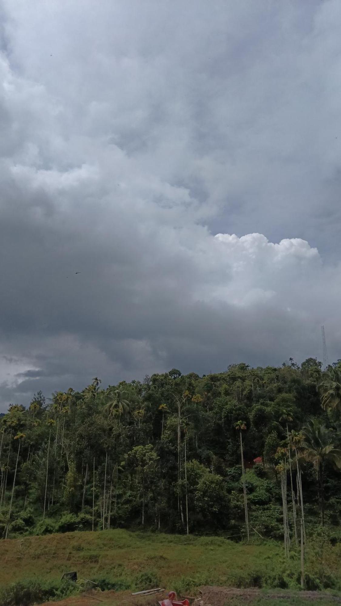 Jungle Valley Ayurvedic Spa Resort Meppādi Eksteriør billede