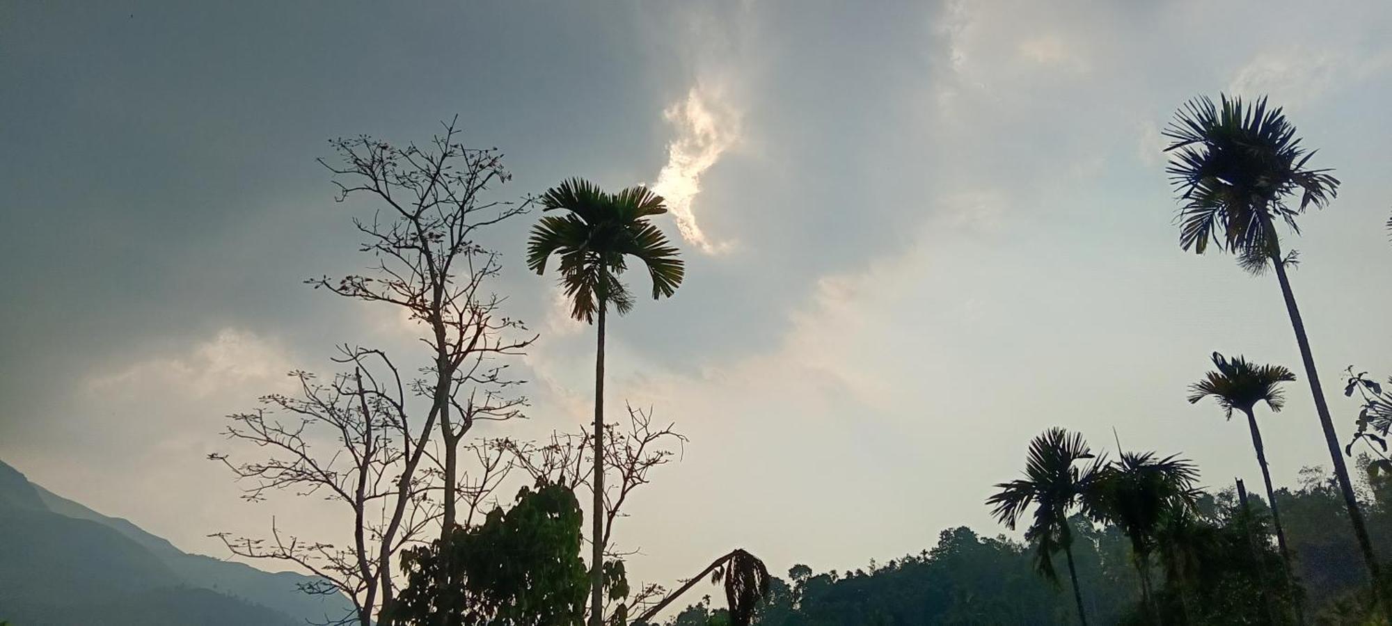 Jungle Valley Ayurvedic Spa Resort Meppādi Eksteriør billede
