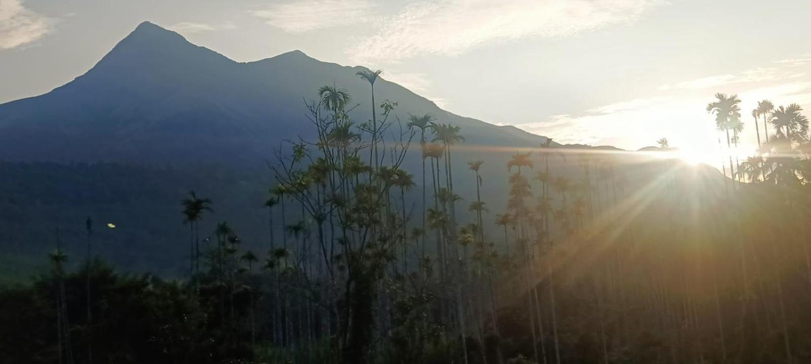 Jungle Valley Ayurvedic Spa Resort Meppādi Eksteriør billede