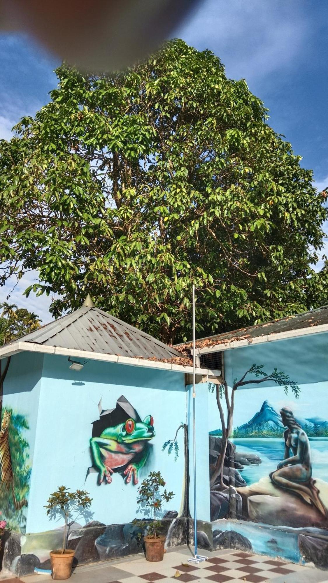 Jungle Valley Ayurvedic Spa Resort Meppādi Eksteriør billede