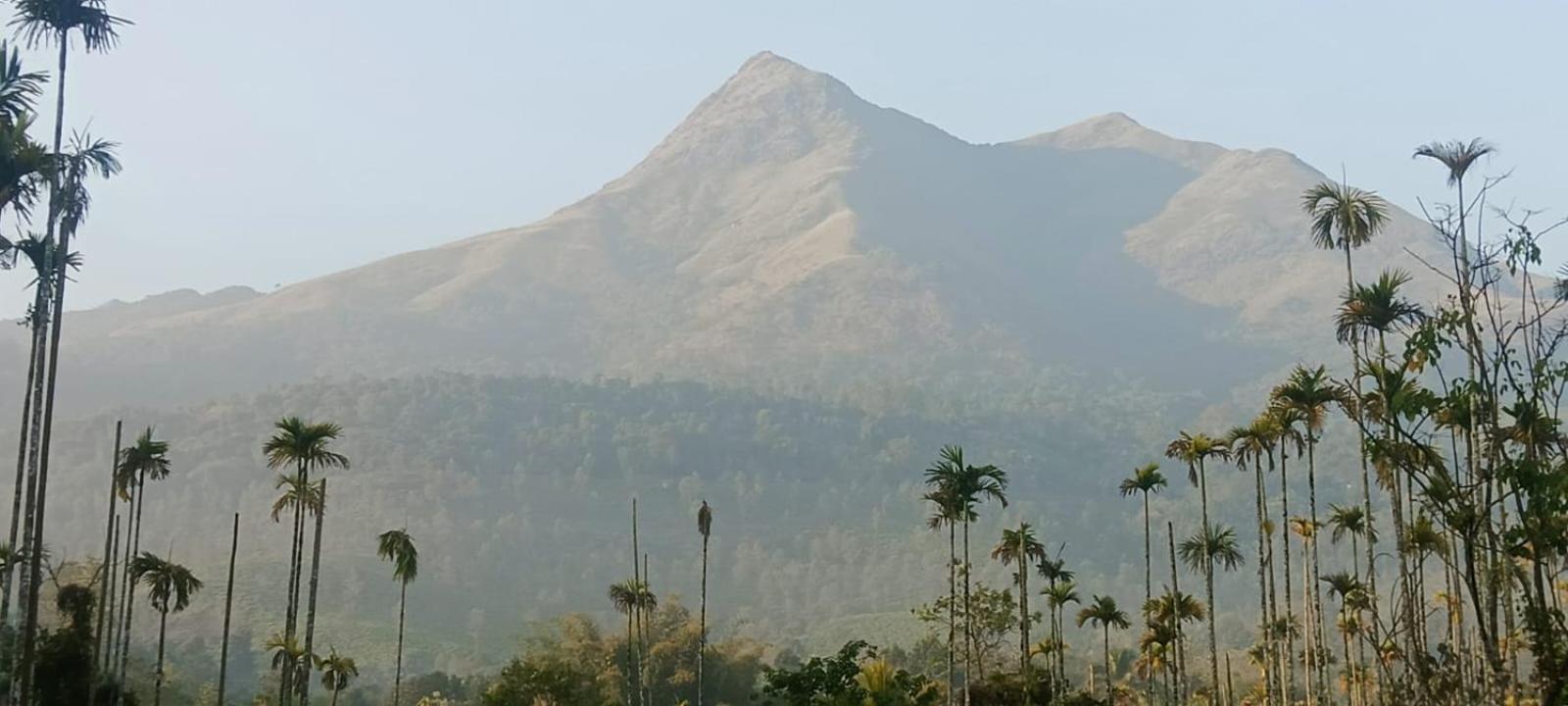 Jungle Valley Ayurvedic Spa Resort Meppādi Eksteriør billede
